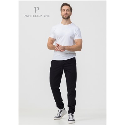 PDB-251 (Брюки мужские, PanteLemone )