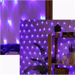 Светодиодная сеть (220в,2х2м, синяя)