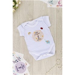 Набор боди для фотосессии 6 шт от 0-1 до 6 месяцев. арт.Н-БД/0-6