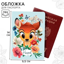 Паспортная обложка, Disney