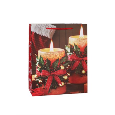 Пакет подарочный 18x23x10см / 5580M /уп 12/720/Новый год