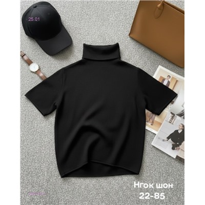 Водолазка 2056192-1