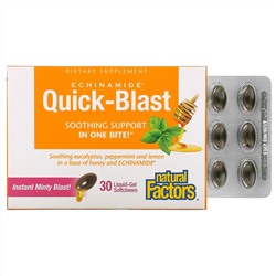 Natural Factors, Quick-Blast, Instant Minty Blast, 30 Liquid Gel Softgels