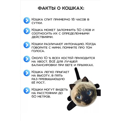 Игрушка-антистресс Кот Барсик НАТАЛИ, 1082982