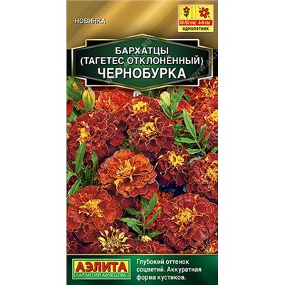 Бархатцы Чернобурка откл. (Код: 90985)