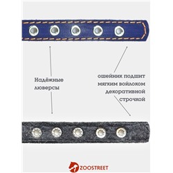 Ошейник, 35×1.5 см, подклад из ватина, кожа, синий