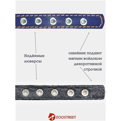 Ошейник, 35×1.5 см, подклад из ватина, кожа, синий