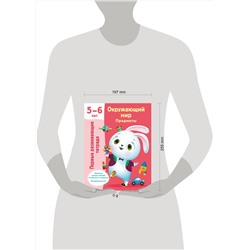 АСТ Дмитриева В.Г. "Окружающий мир. Предметы. 5-6 лет"
