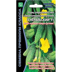 8061N Огурец Генеральский F1 5шт