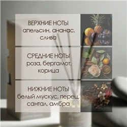 Диффузор ароматический Hygge #4 Источник гармонии, 100 мл