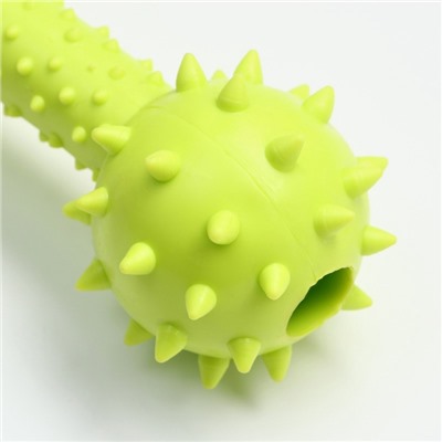 Жевательная игрушка для собак «Грозная гантель», 15×5 см, салатовая