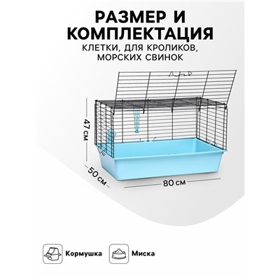Клетка для кроликов, морских свинок «Пижон» №4 складная, 80×50×47 см, бирюзовая