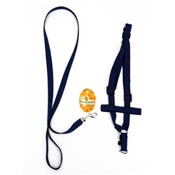 Комплект амуниции рельефный, поводок 120×2 см, ОГ 44-50 см, сине-чёрный