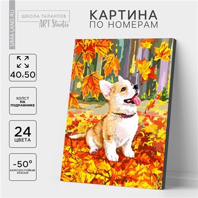 УЦЕНКА Картина по номерам на холсте с подрамником «Корги в осенней листве» 40×50 см