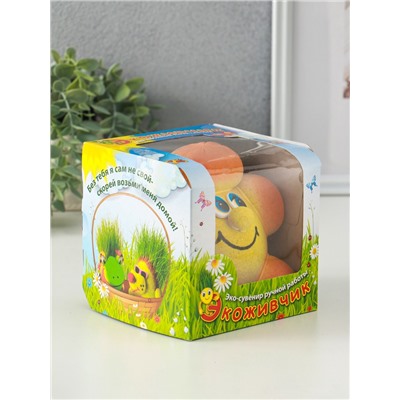 Набор для выращивания «ЭкоЖивчик. Солнышко новинка», фигурка растущая в подарочной упаковке