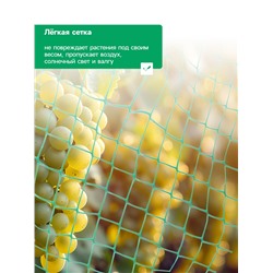 Сетка садовая, 2×5 м, ячейка ромб 0.6×0.6 см, от птиц, пластиковая, цвет МИКС, Greengo, в рулоне