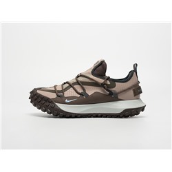 Кроссовки Nike ACG Mountain Fly Low