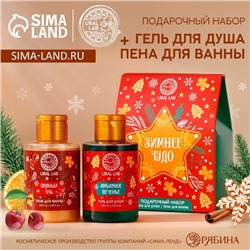 Подарочный набор «Зимнее чудо»: гель для душа и пена для ванны, 2×100 мл, URAL LAB