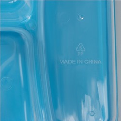 Ланч - бокс для еды, 3 отделения, 200/400 мл, 21×14.5×5.5 см, пластик, прямоугольный, голубой