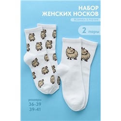 Носки женские Капибара бой (комплект 2 пары)