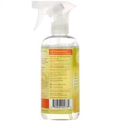Grab Green, All Purpose Surface, Tangerine with Lemongrass, 16 oz (473 ml)