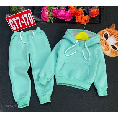 костюм с начесом 1820581-3