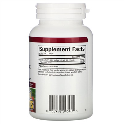 Natural Factors, GrapeSeedRich, экстракт виноградных косточек, 100 мг, 120 вегетарианских капсул