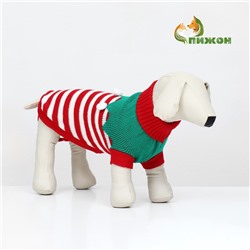 Свитер новогодний для животных «Ягодка», размер XL, ДС 40, ОШ 33, ОГ 50 см, красный, зелёный