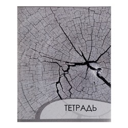 Комплект тетрадей из 4 штук, 96 листов в клетку Calligrata "Металл", обложка мелованный картон, блок офсет