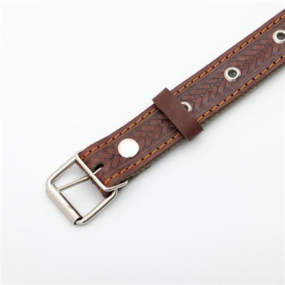 Ошейник комбинированный безразмерный, кожа/брезент, 60×3 см, ОШ 30-57 см, коричневый/зелёный