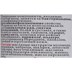 Мазь монастырская Живичная с мухомором, Солох-Аул, 100 мл