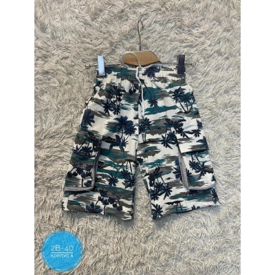 Шорты #22434780