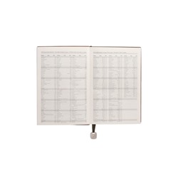 Ежедневник недатированный формат А5, 80л, линия, с ручкой, подар коробка, Зеленый