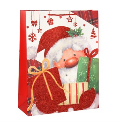 Пакет подарочный 31х40х12 / 109-1L /уп 12/360/ микс Новый год