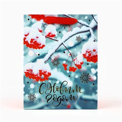 Пакет подарочный новогодний ламинированный «С Новым годом», MS 23×18×10 см