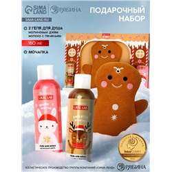 Подарочный набор новогодний «Пряник», гель для душа 2 шт. × 150 мл, мочалка, URAL LAB