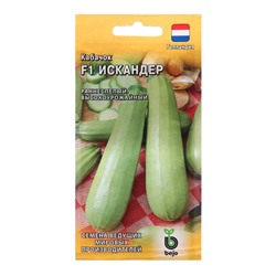 Семена Кабачок Искандер, F1, 5 шт., «Гавриш»
