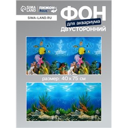 Фон для аквариума двухсторонний, 40×75 см