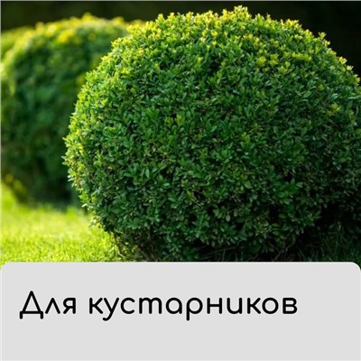 Чехол для растений, прямоугольный на молнии, 160 × 120 см, спанбонд с УФ-стабилизатором, плотность 60 г/м², цвет МИКС