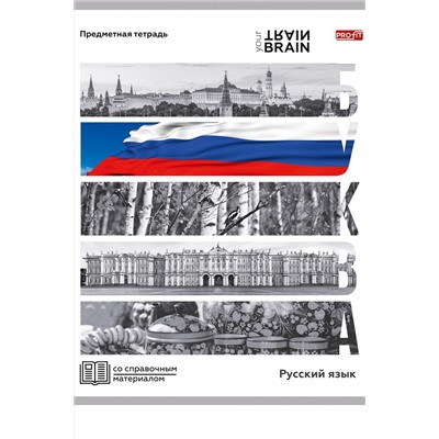 Тетрадь ЛИНИЯ 48л. РУССКИЙ ЯЗЫК «КОНТРАСТЫ» (Т48-1418) эконом-вариант, б/о НАТАЛИ, 1033245