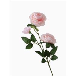 Цветы искусственные «Роза терция», 8×60 см, розовые