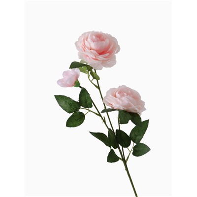 Цветы искусственные «Роза терция», 8×60 см, розовые
