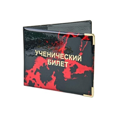 Обложка для удостоверения #22595980