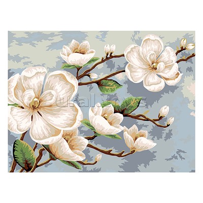 Набор для раскрашивания по номерам 40х30 "Ветвь магнолии"