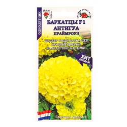 Семена Бархатцы «Антигуа Праймроуз», F1, 5 шт., «Золотая Сотка Алтая»