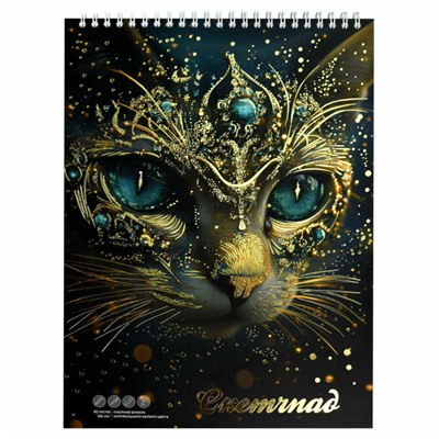 Альбом для зарисовок (скетчпад) А4 60л твердая обложка на спирали "АСТРАЛЬНЫЙ КОТ" белый офсет 100 г/м2 70033 Феникс