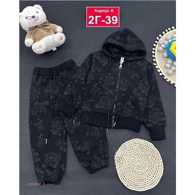 костюм с начесом 2055007-3