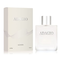 Туалетная вода мужская Adagio (Адажио) 100 мл