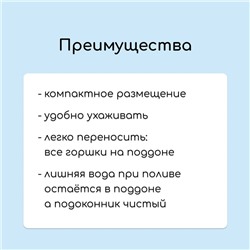 Набор для рассады: стаканы по 1 л (10 шт.), поддон 61×23 см, чёрный