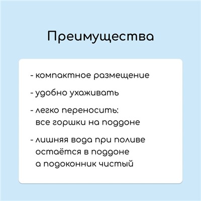 Набор для рассады: стаканы по 1 л (10 шт.), поддон 61×23 см, чёрный